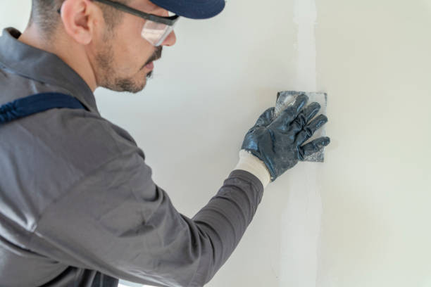 Best Attic Mold Removal  in USA